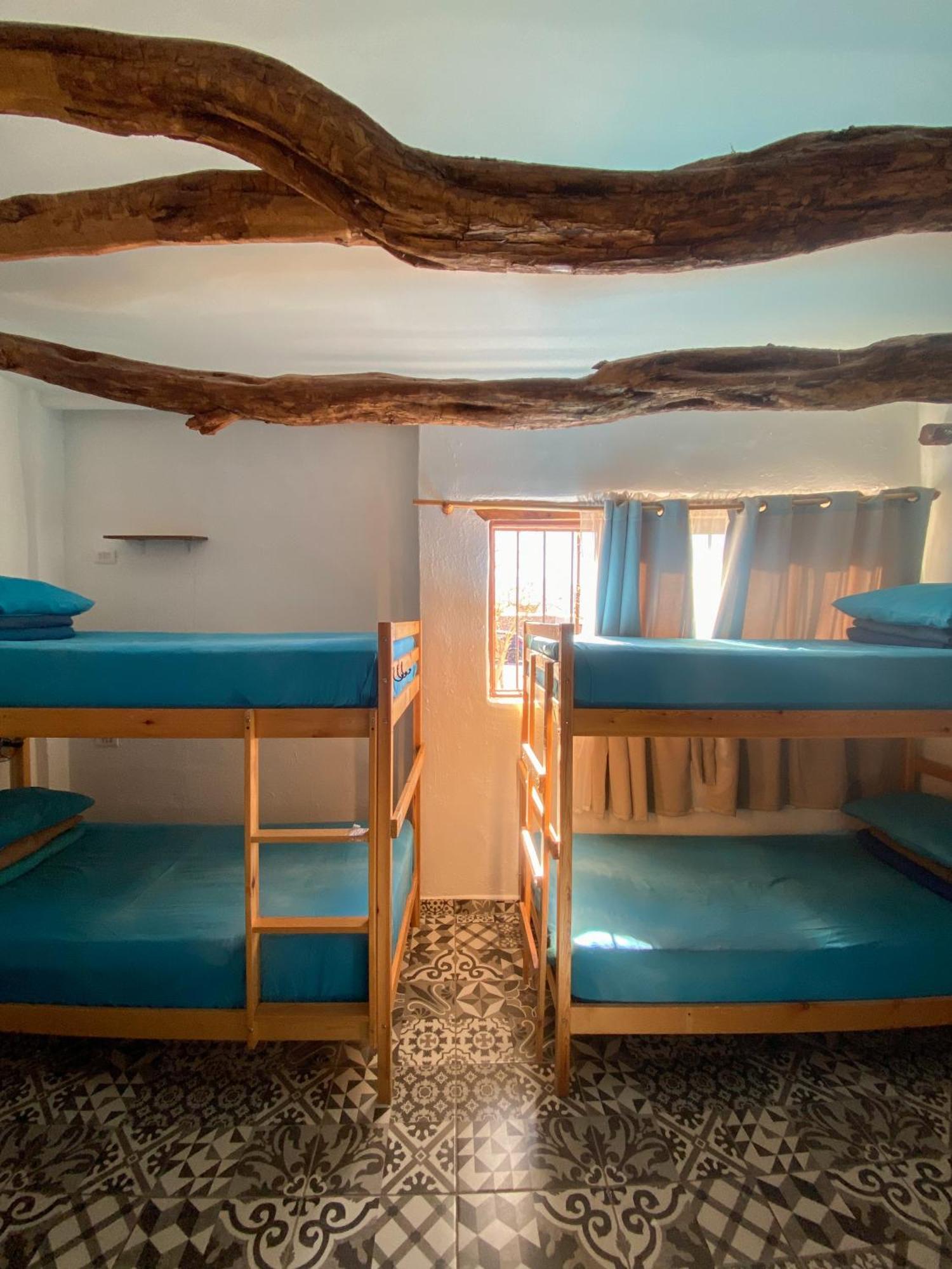 Rey Lagarto Hostel San Pedro de Atacama Kültér fotó